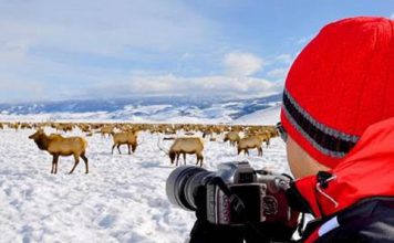 Navidad y Año Nuevo en Jackson Hole
