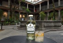 Brindis con WAHAY, poción herbal