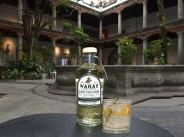 Brindis con WAHAY, poción herbal