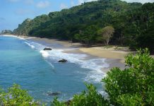 Experiencias increíbles en las playas de Nayarit