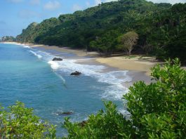 Experiencias increíbles en las playas de Nayarit