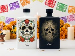 La mística del agave que guía a las almas en el Día de Muertos